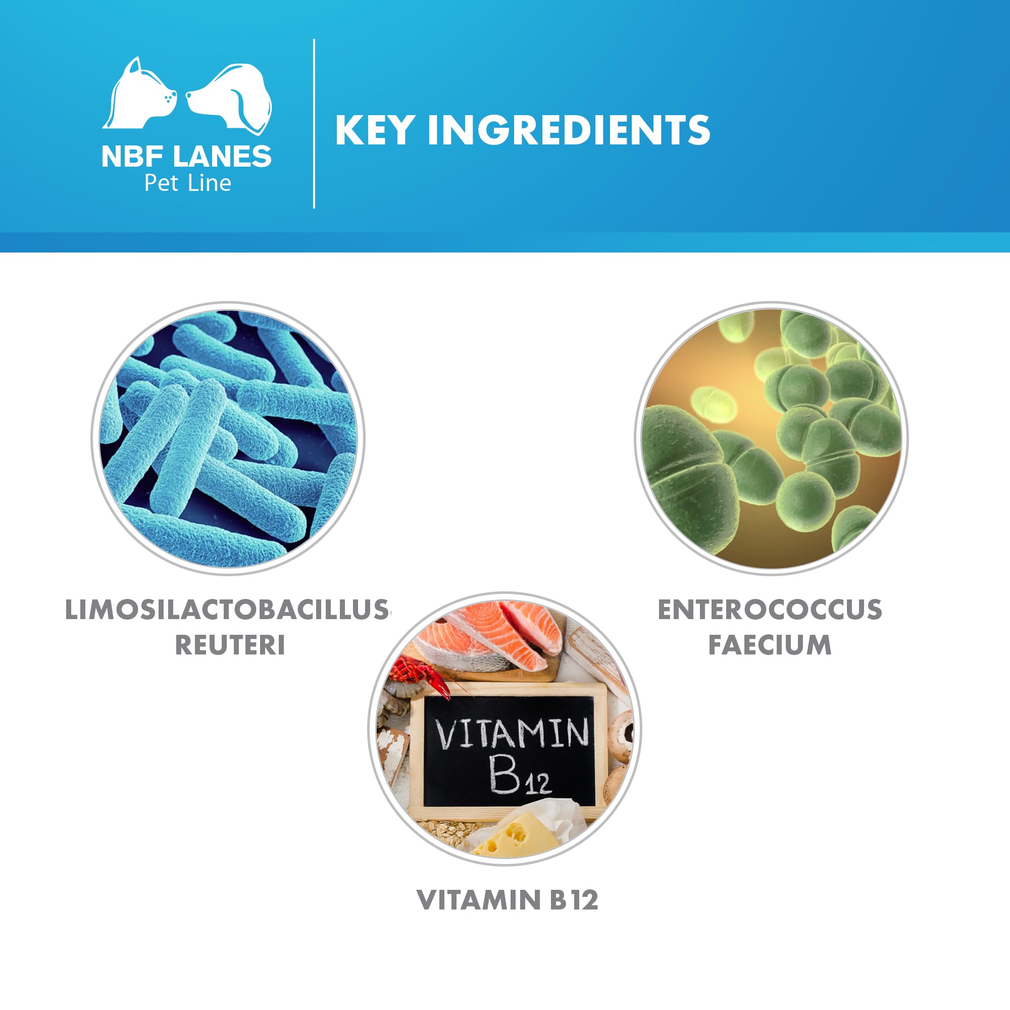 NBF Lanes | Reuteral Pet Gatto, Gocce orali, Probiotico a base di fermenti lattici vivi per la stabilizzazione della Flora intestinale nei Gatti