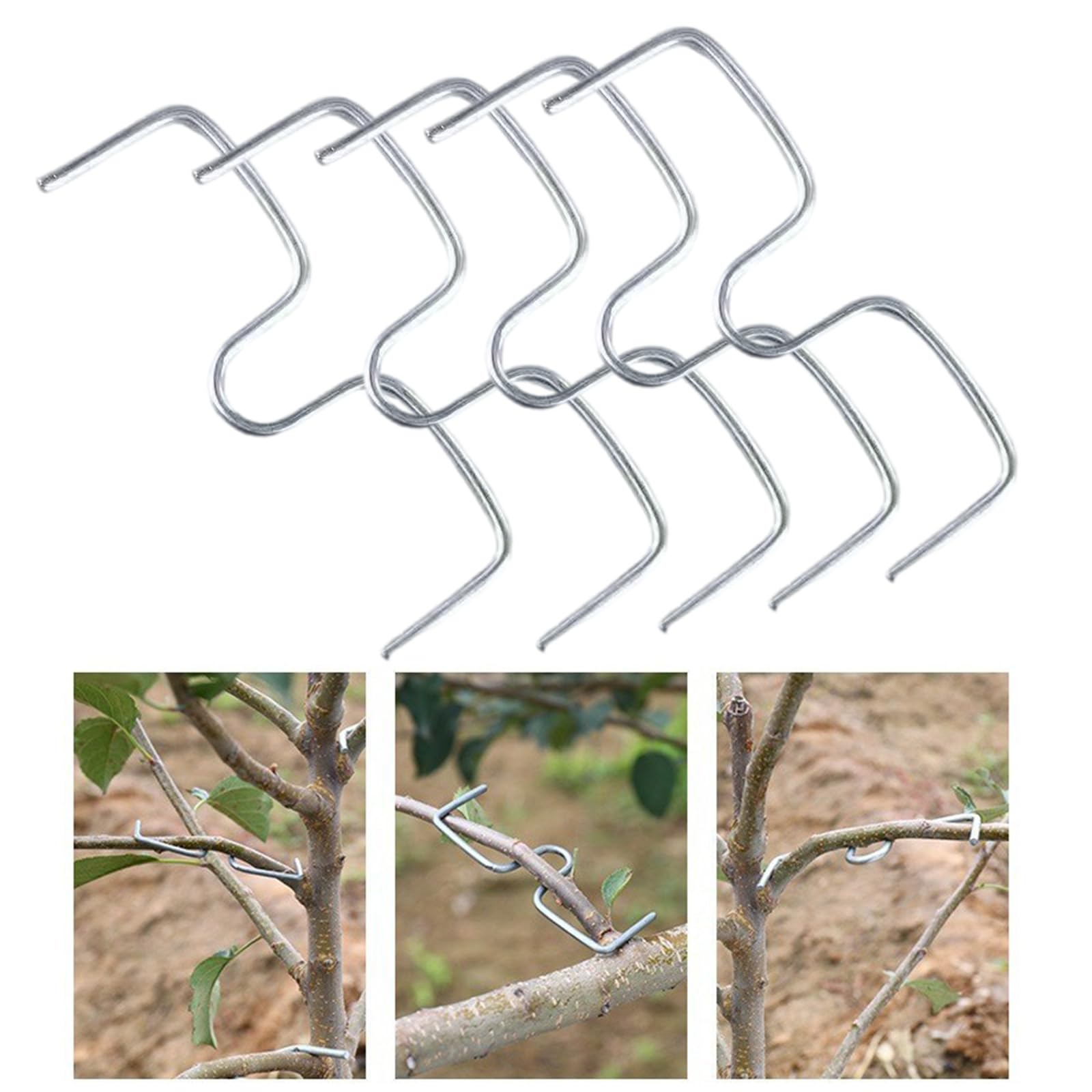 100 antiruggine estrattore Alberi da frutto legatrice Strumento agricolo per Modellare e diffondere Facilmente i piantare Utilizzare Strumento Gestione dei frutteti
