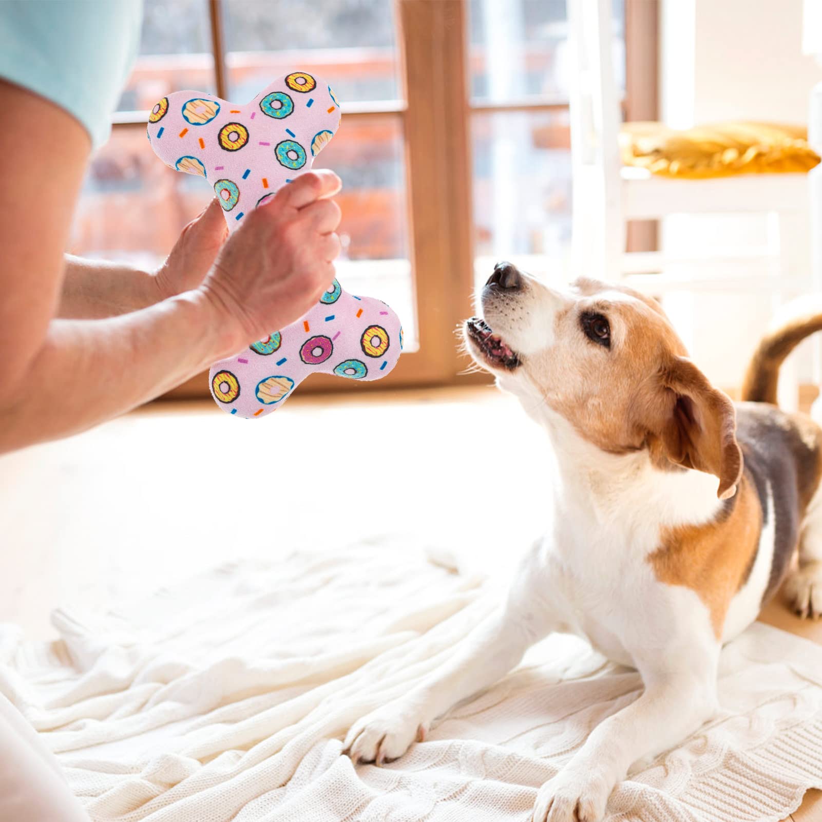SCENEREAL Giocattoli Squeak per cani di piccola taglia