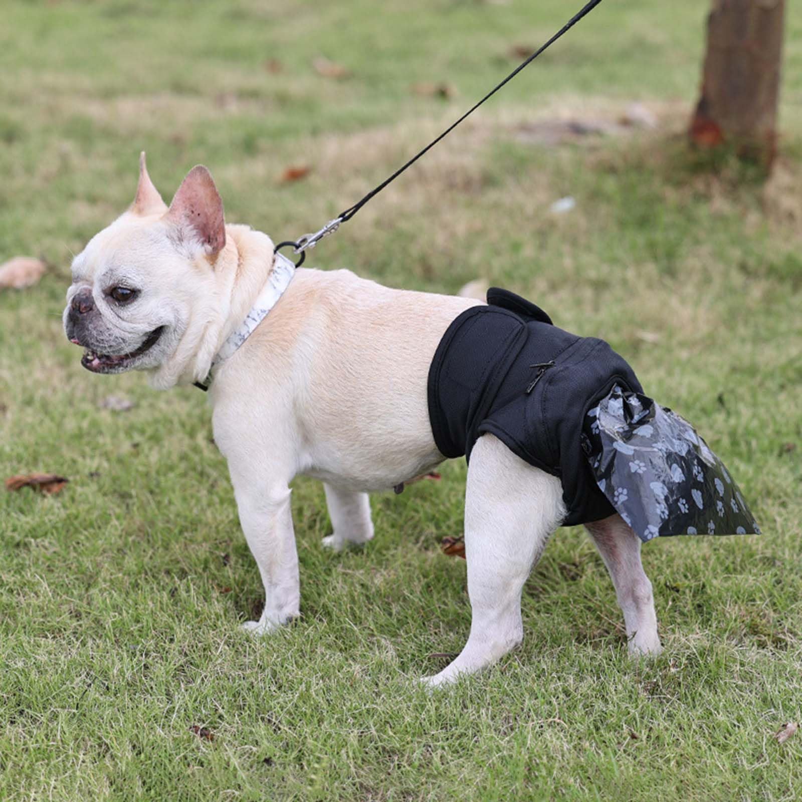Slip menstruel pour chien - Culotte douce et confortable - Avec 50 sacs à déjections canines