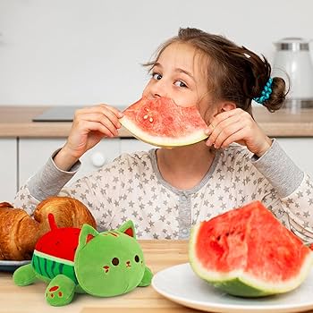 ぬいぐるみ  watermelon Cocomelon Watermelon Plush Toy 6
