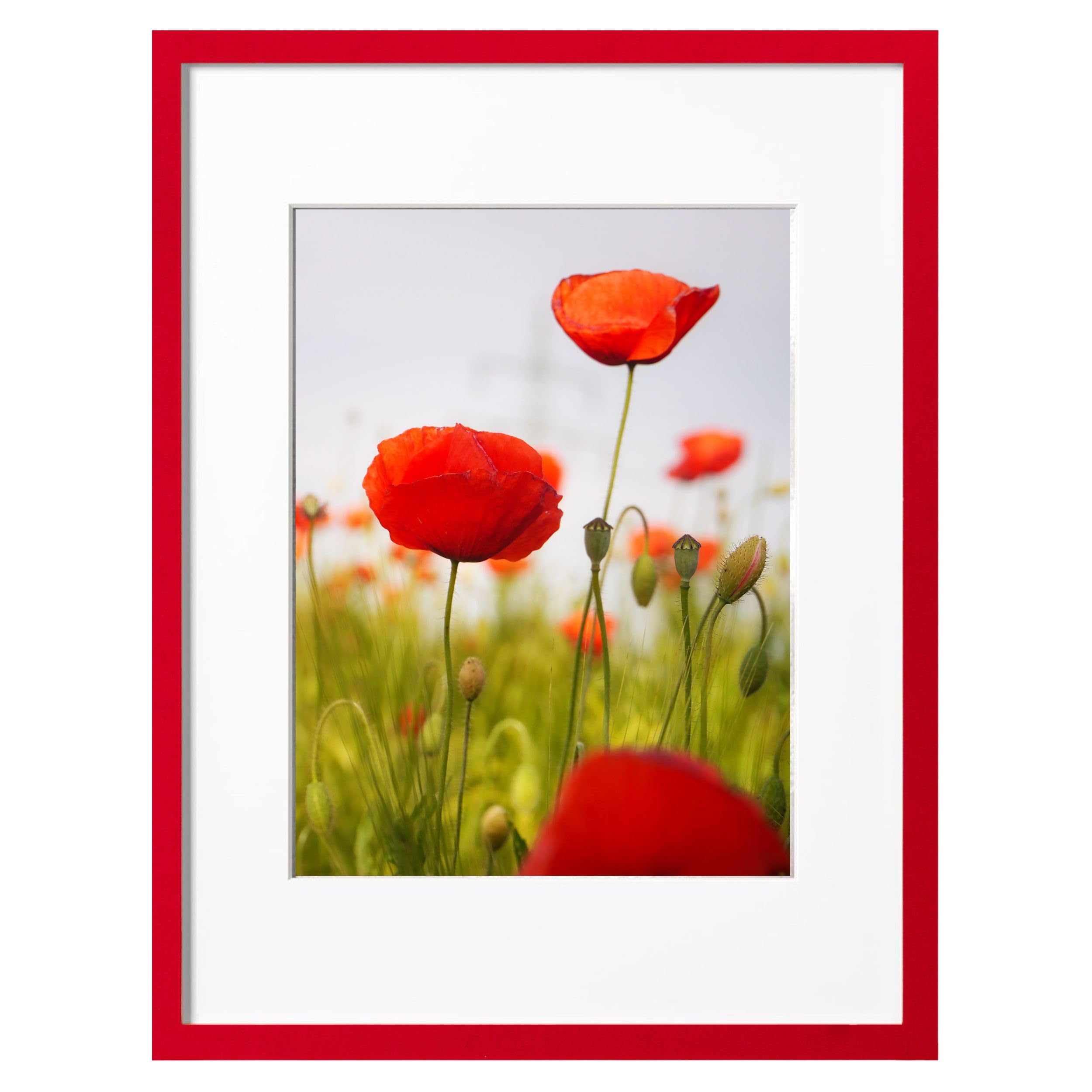 Amazon.com - eletecpro 16x20 Picture Frame, Display Picture 11x14