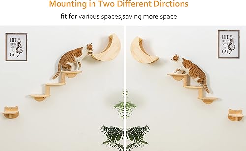 Miniatura 6 de Estante para hamaca de pared para gatos con escalera de escalada de 3 niveles y estantes, muebles de pared para gatos de luna para actividades en