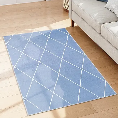 ラグ 洗える ...