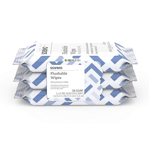 Solimo Flushable Adult Toilet Wipes