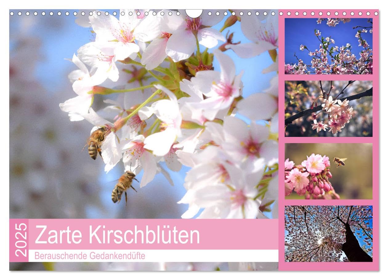 Zarte Kirschblüten - Berauschende Gedankendüfte (Wandkalender 2025 DIN A3 quer), CALVENDO Monatskalender: Lichtvolle Momente zur Kirschblütenzeit (CALVENDO Natur)