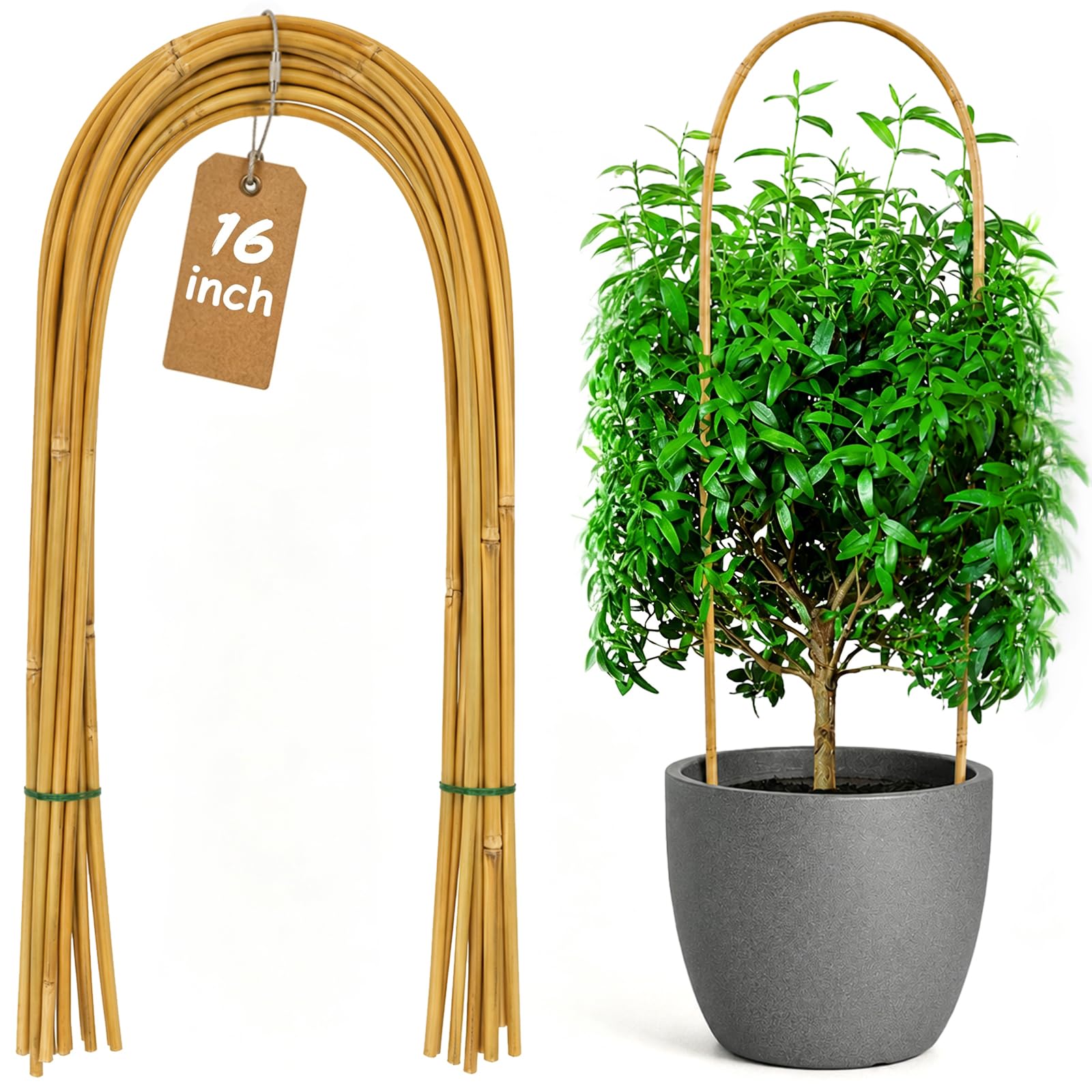 アクセサリー rbrb0013 GARNICrockery Bamboo Pierce Amazon.com : Coloch 20 Pack Bamboo U Trellis Support, 16 Inch U