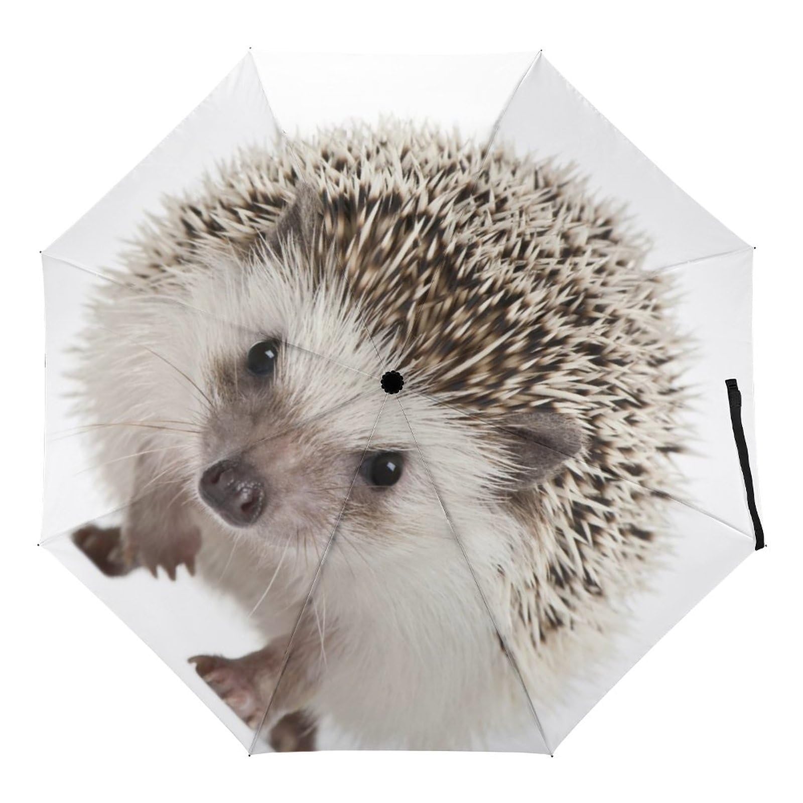 ORENZ Automatic Umbrella Hedgehog Folding Umbrellas Light Windproof Umbrellas Portable Travel Umbrella