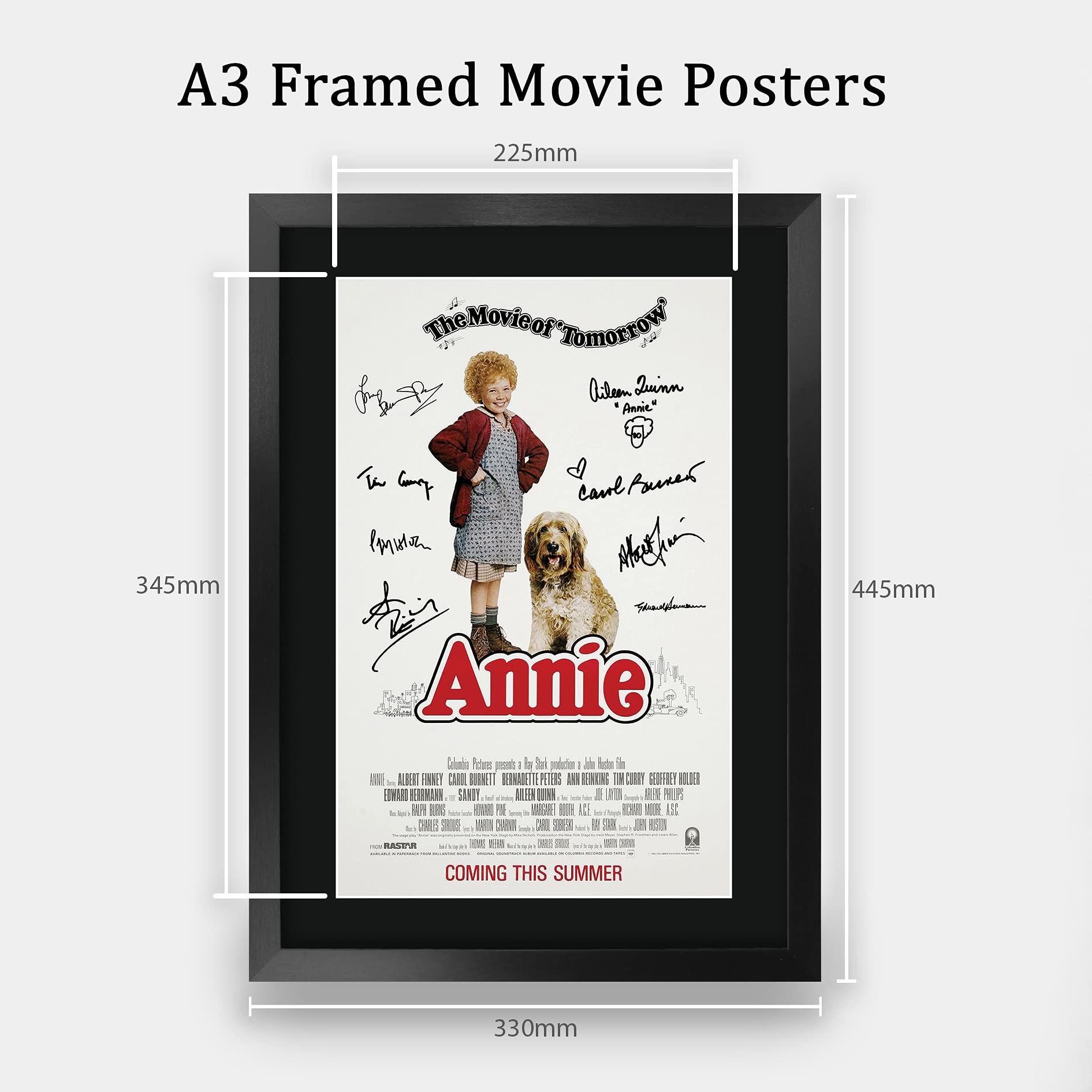 Amazon.co.jp: HWC Trading FR A3 アニー映画ポスター アイリーン