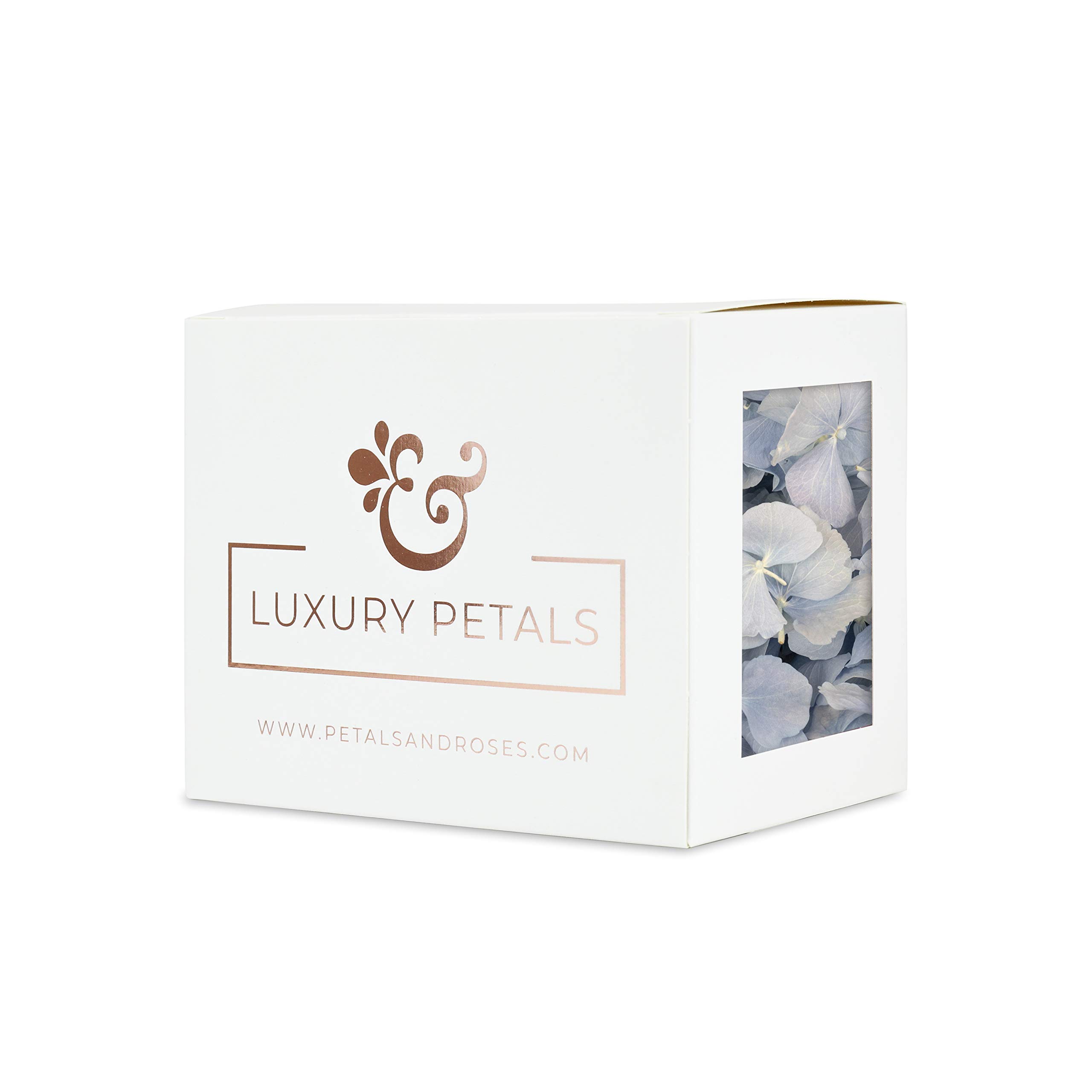 Petals and Roses Freeze Dried Hydrangea Petal Confetti | Natural & Biodegradable for Weddings, Sky Blue, 1 Litre