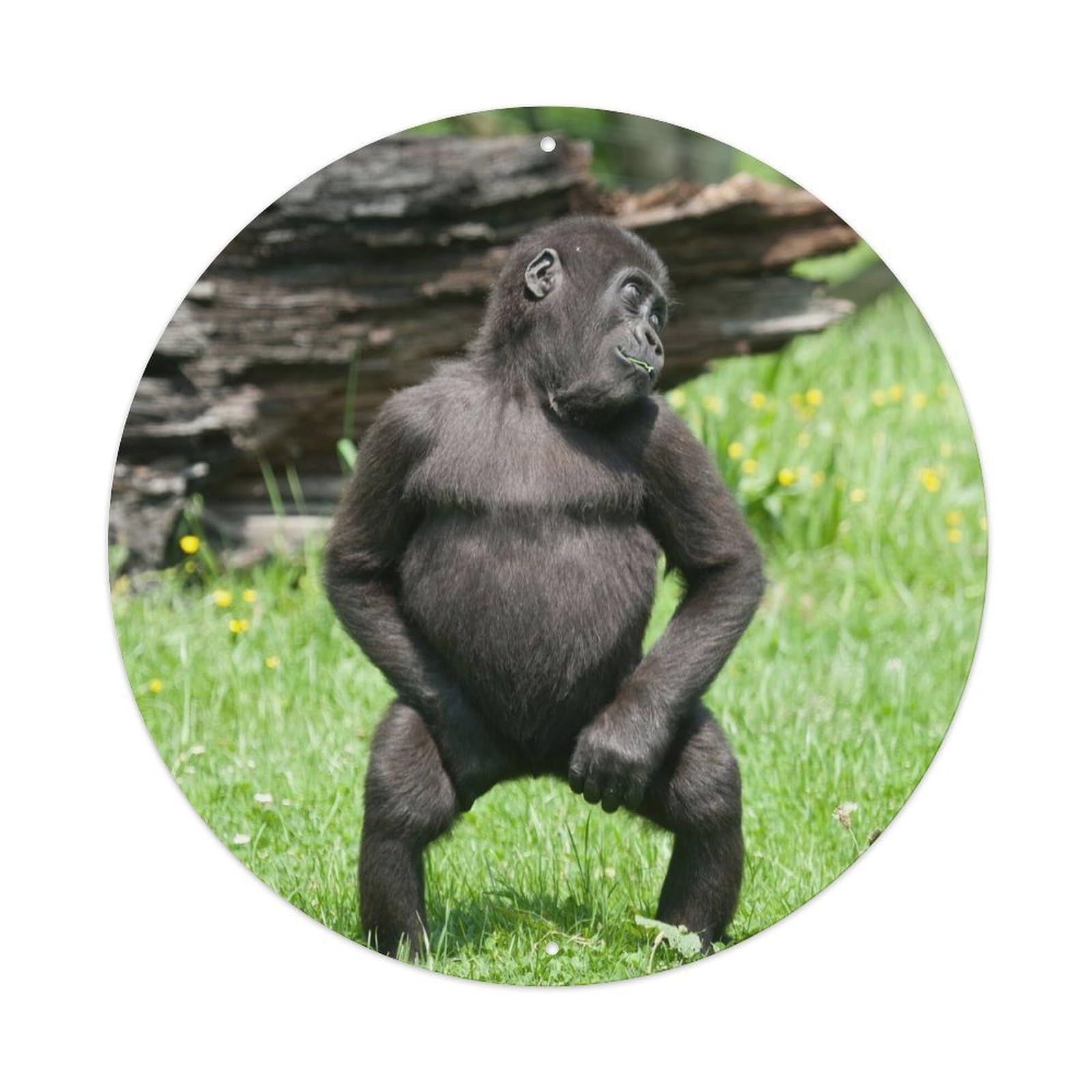 Animal Cute Baby Gorilla Vintage Metal Tin Sign Plaque Wall Decor for Cafe, Club, Garden Round Metal Poster 8x8Inch