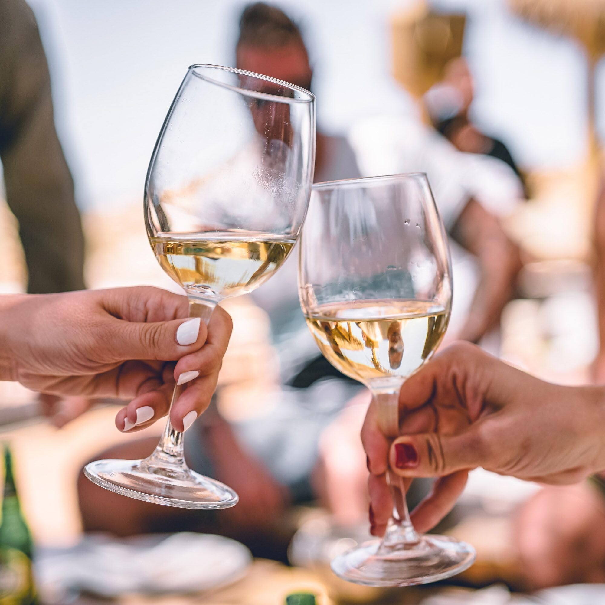 GGM Gastro Weinkühlschrank ECO 322L 127 Flaschen | Präzise Temperatursteuerung, abschließbare Tür, stimmungsvolle LED-Beleuchtung, ideal für die professionelle Weinlagerung
