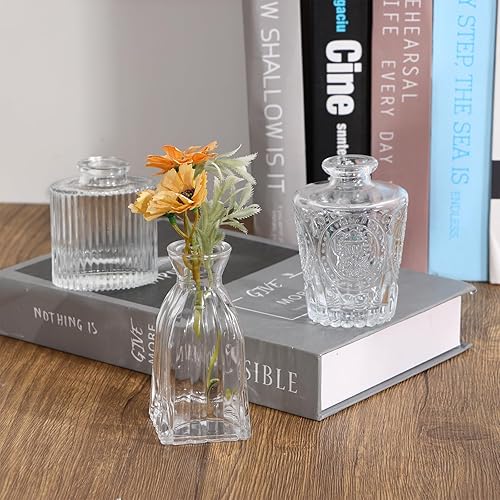 Miniatura 7 de Fixwal Juego de 36 jarrones de cristal, pequeños jarrones para flores, jarrones transparentes para centros de mesa, jarrones de flores a granel para