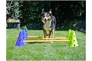 FitPaws® Agility Kit: Portable Canine Cavaletti Poles Set