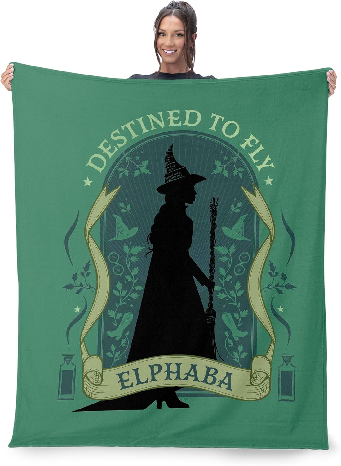 Northwest Wicked Destined to Fly Silk Touch Sherpa Throw Blanket 50x60 inches