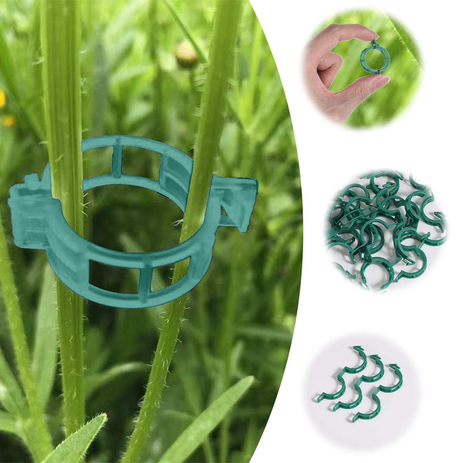 Clip per piante rampicanti, 100 clip riutilizzabili da giardino