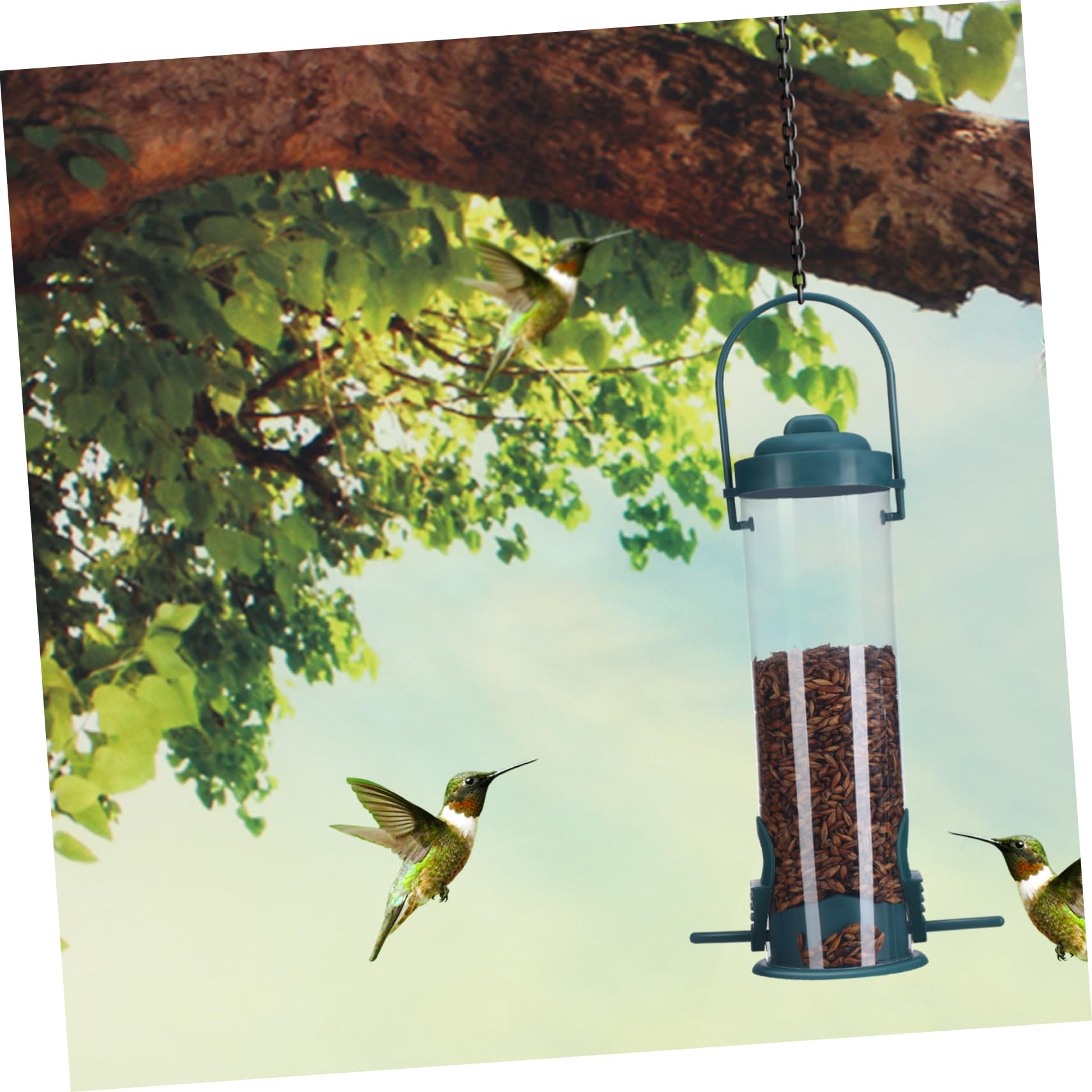 BESPORTBLE 5pezzi Mangiatoia Per Uccelli Da Appendere Alimentatore Automatico Per Colibrì Design Trasparente Facile Da Riempire Base Stabile Decorazione Per Giardino