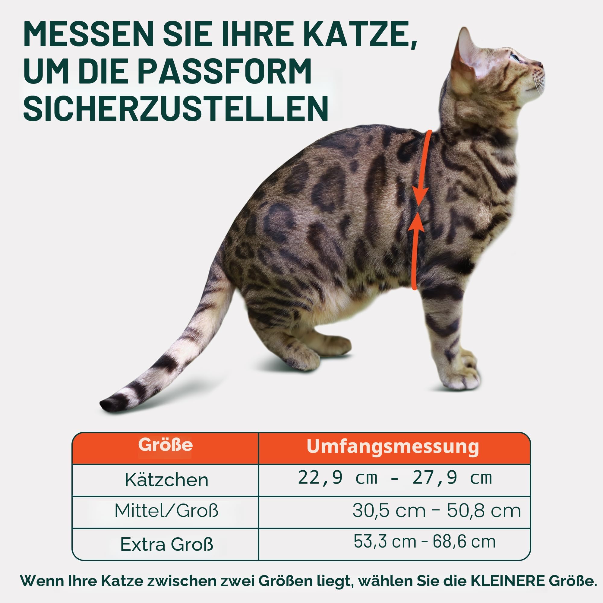 Houdini™ Ausbruchsicheres Katzengeschirr und Leine, Set von OutdoorBengal for Walking Cats (M)