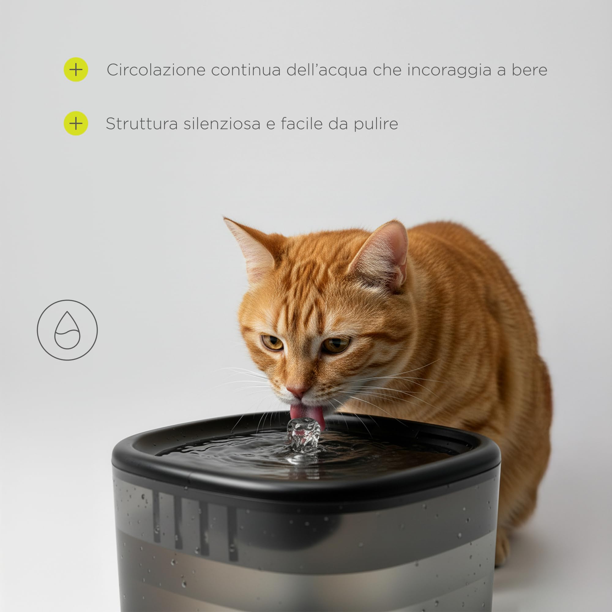 Feast Distributore Automatico di Cibo Wi-Fi con Videocamera | Per Cani e Gatti, Capacità 4,5 L, Porzioni Programmate, Ciotola, Fontana da 2,5 L, Controllo tramite App