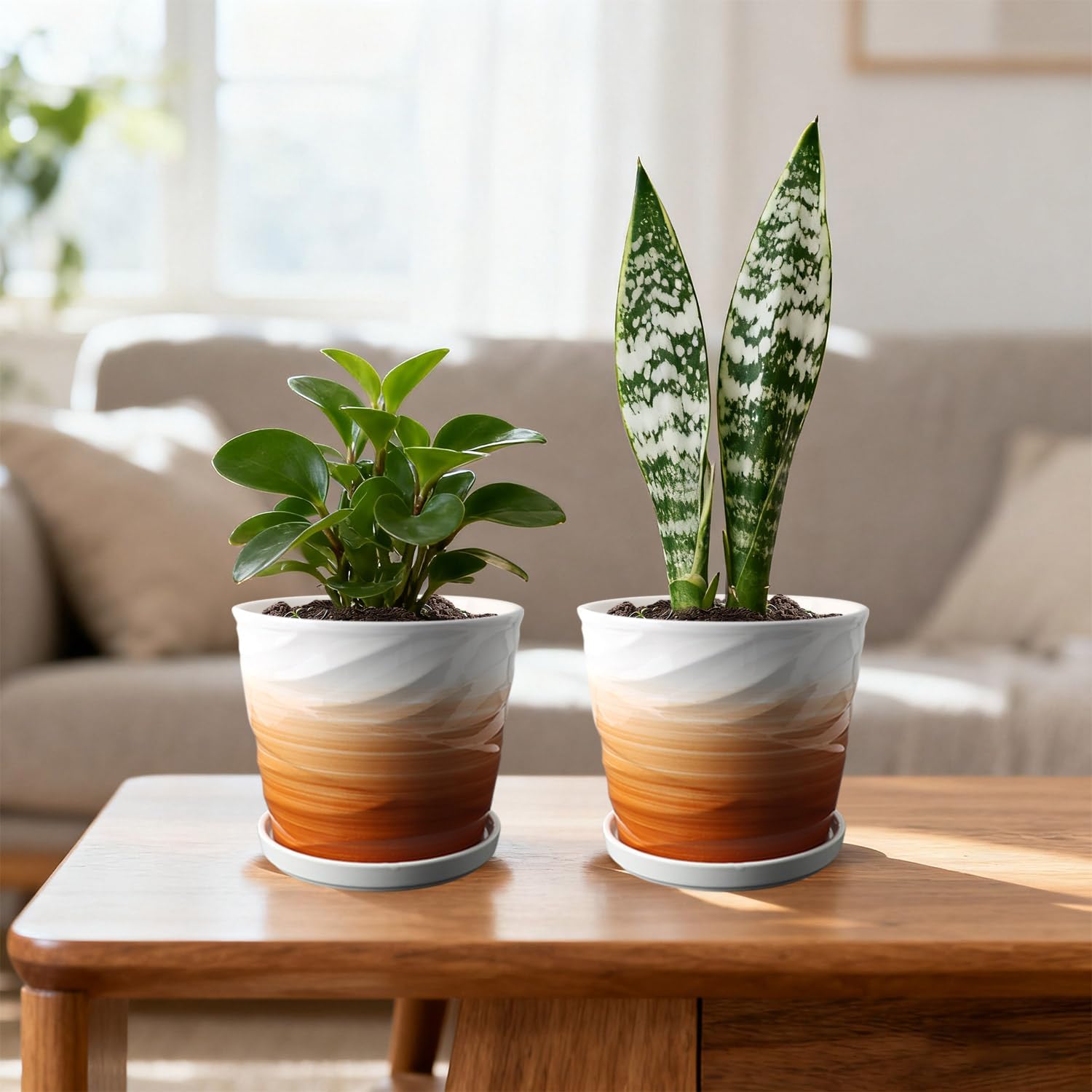 6 Inch Plant Pot,Ceramic Planter with Drainage and Saucer,Ceramic Pots for Plants,Indoor Plant pots,planters for Indoor Plants(6.7 in Diameter,2 Pack)