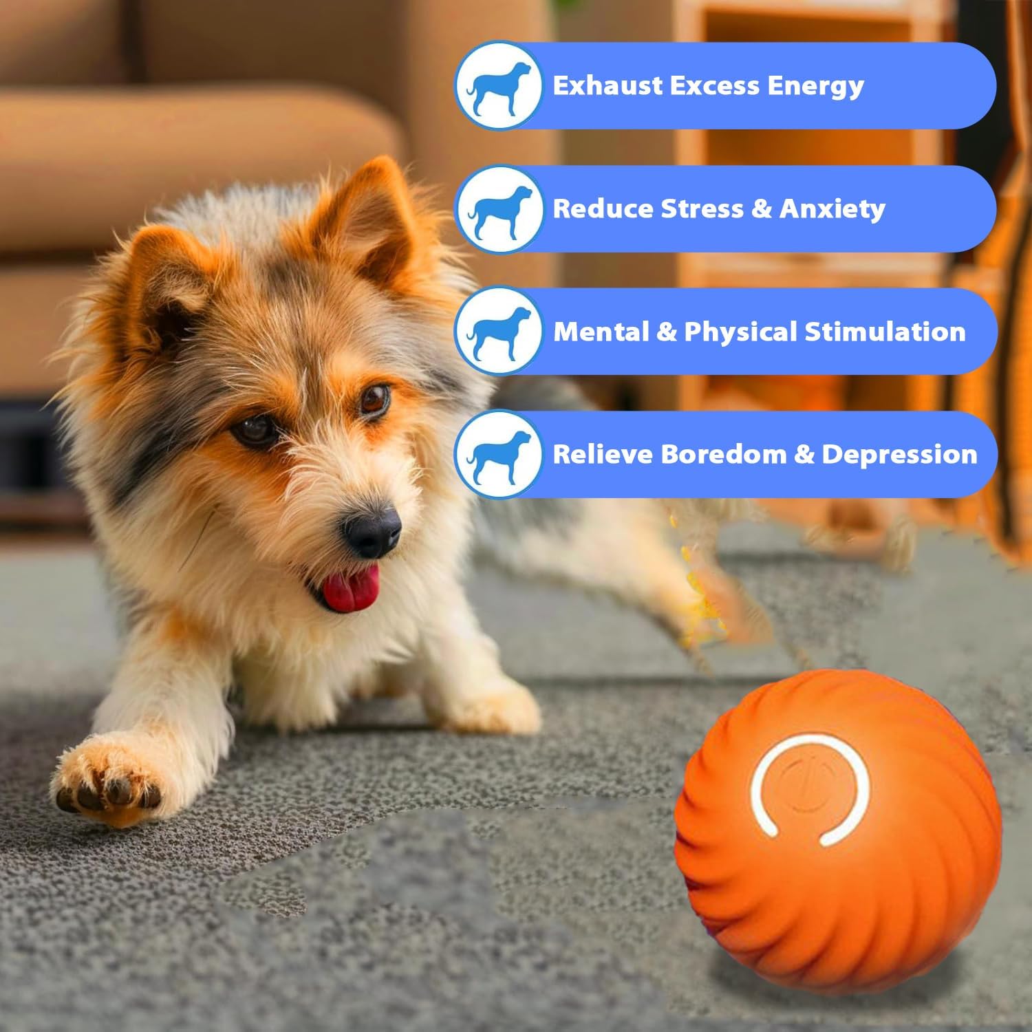 2-Pack Interactive Dog Balls (Blue & Orange), Motion-Activated, USB Rechargeable, Auto Rolling & Bouncing Pet Toys, Durable & Waterproof for Small to Large Dogs, Indoor/Outdoor Use