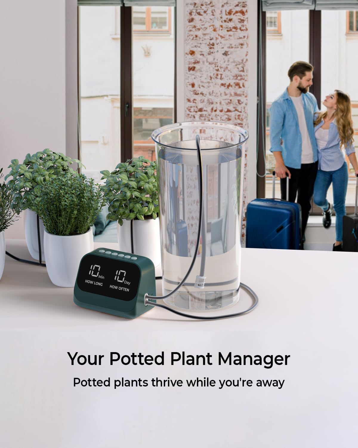 Sistema di irrigazione automatico per piante in vaso, kit di irrigazione a goccia fai da te con timer intelligente, display a LED impermeabile e batteria di grande capacità, distribuzione precisa