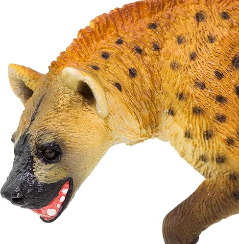 Miniatura 5 de Safari Ltd. Hyena Figurine - Figura realista pintada a mano de 4.25 pulgadas, juguete educativo para niños, niñas y niños a partir de 3 años