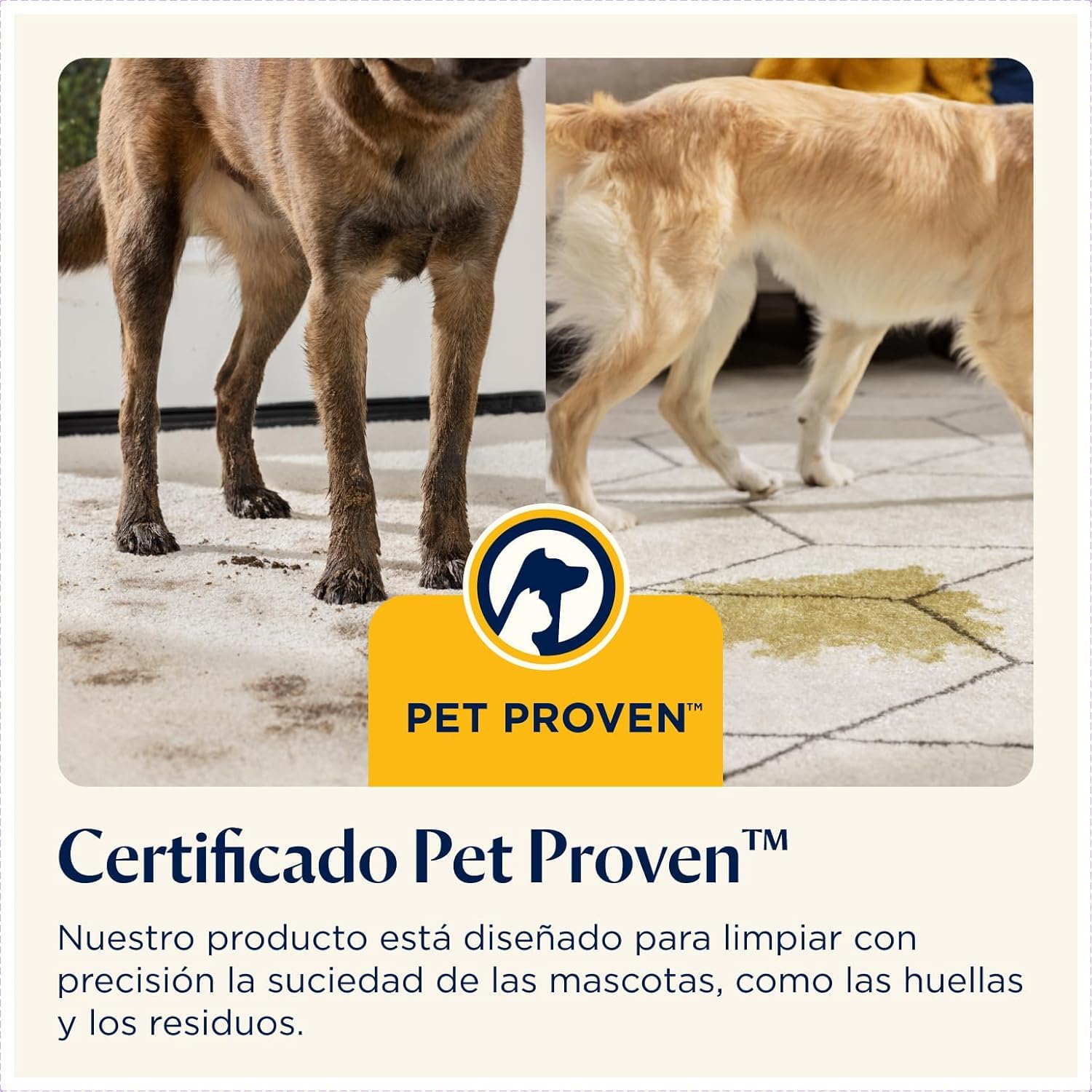 BISSELL SpotClean Pet Pro, Aspiradora de Agua Tapicería, Lava Aspiradora Ideal para Dueños de Mascotas, Limpiador de Liquidos para Alfombras, Tapicería, Sofá, Auto & Más, Motor Potente de 750W, 15585