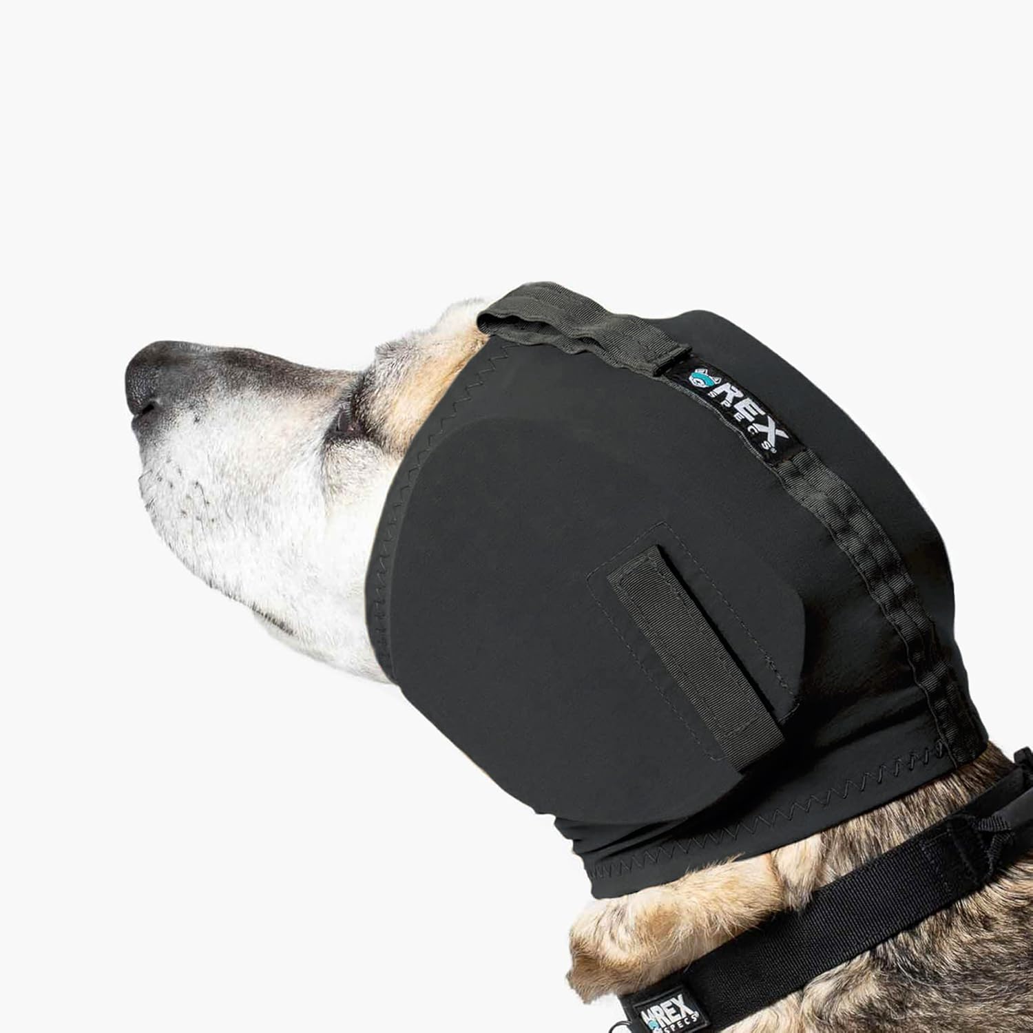 Rex Specs Ear Pro | Noise Cancelling Ear Wraps for Dogs | Dog Ear Muffs Noise Protection (02, Black)