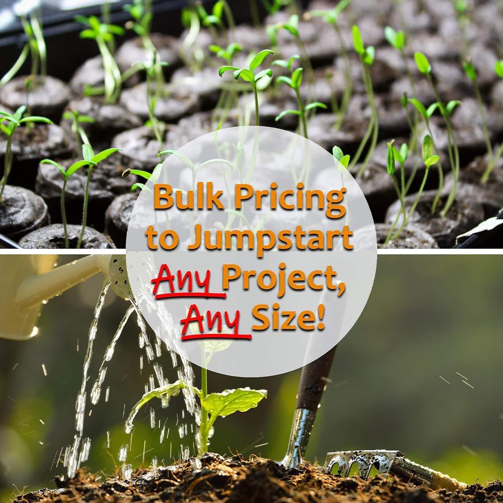 Incredible Hybrid Corn Garden Seed (Treated) - 1 Lb ~2,400 Seeds - Non-GMO, R/M, Vegetable Gardening - Yellow Corn