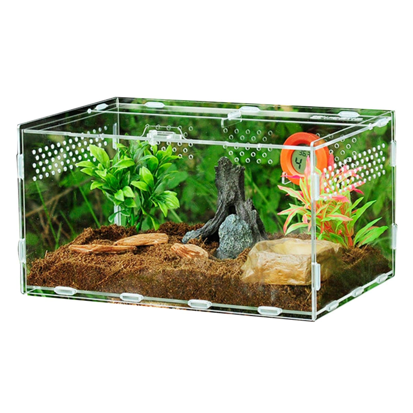 Acrylic Reptile Feeding Box, All-round Transparent Carrier for Pet Spiders Scorpions Horned Frogs