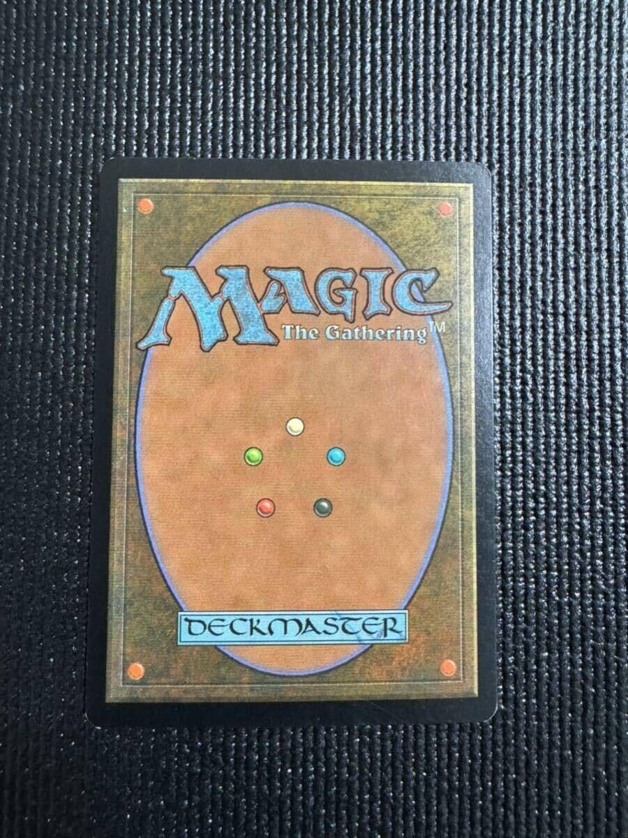 Amazon.co.jp: MTG 美品 適者生存 Survival of the Fittest 英語版 EXO 