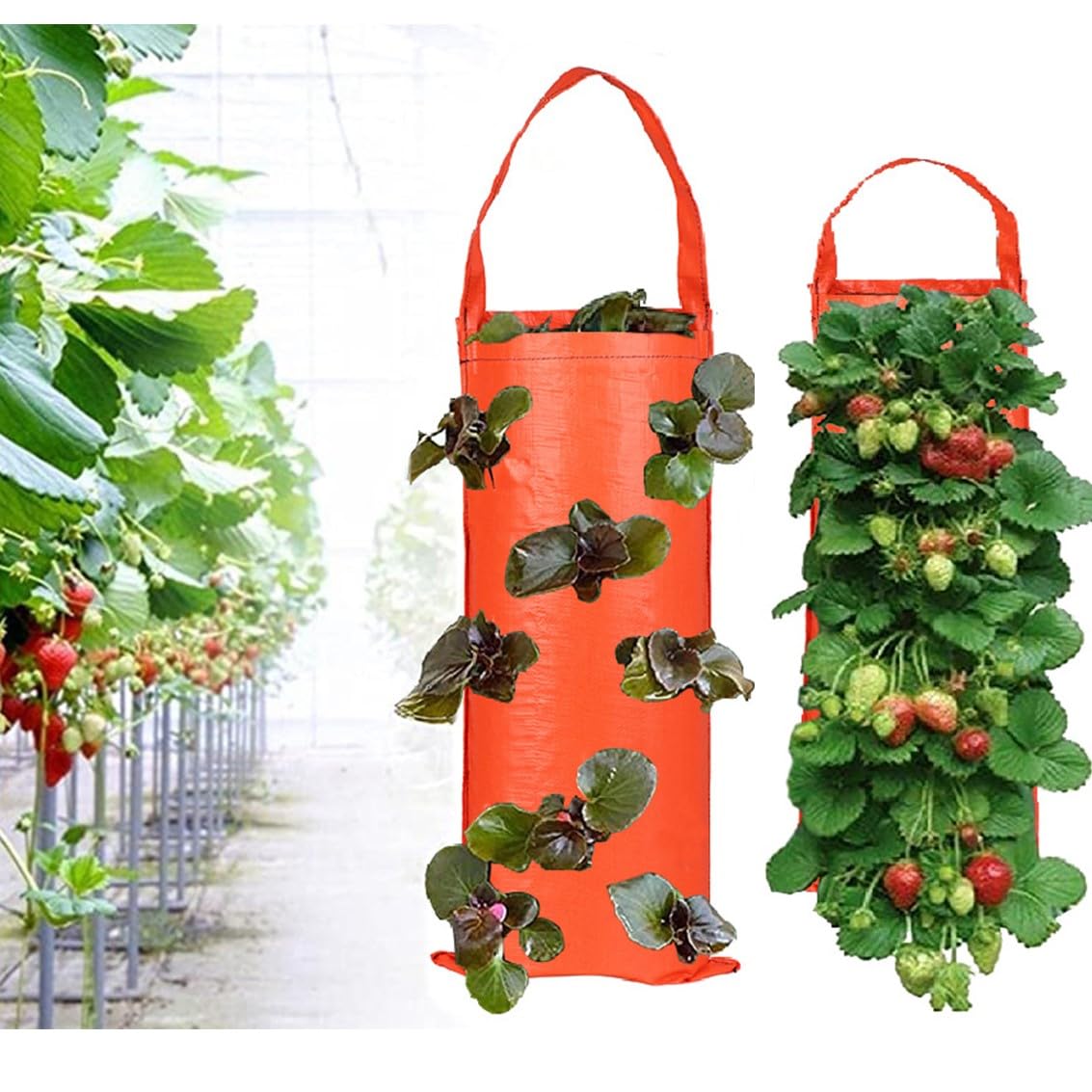 Ehoter Red Hanging Planter Grow Bag Garden Hanging Tomato Strawberry Planting Grow Bag Breathable Canvas Flower Grow Bags Plant Grow Bag For Carrot Onion Tomato Potato Roses (Red)