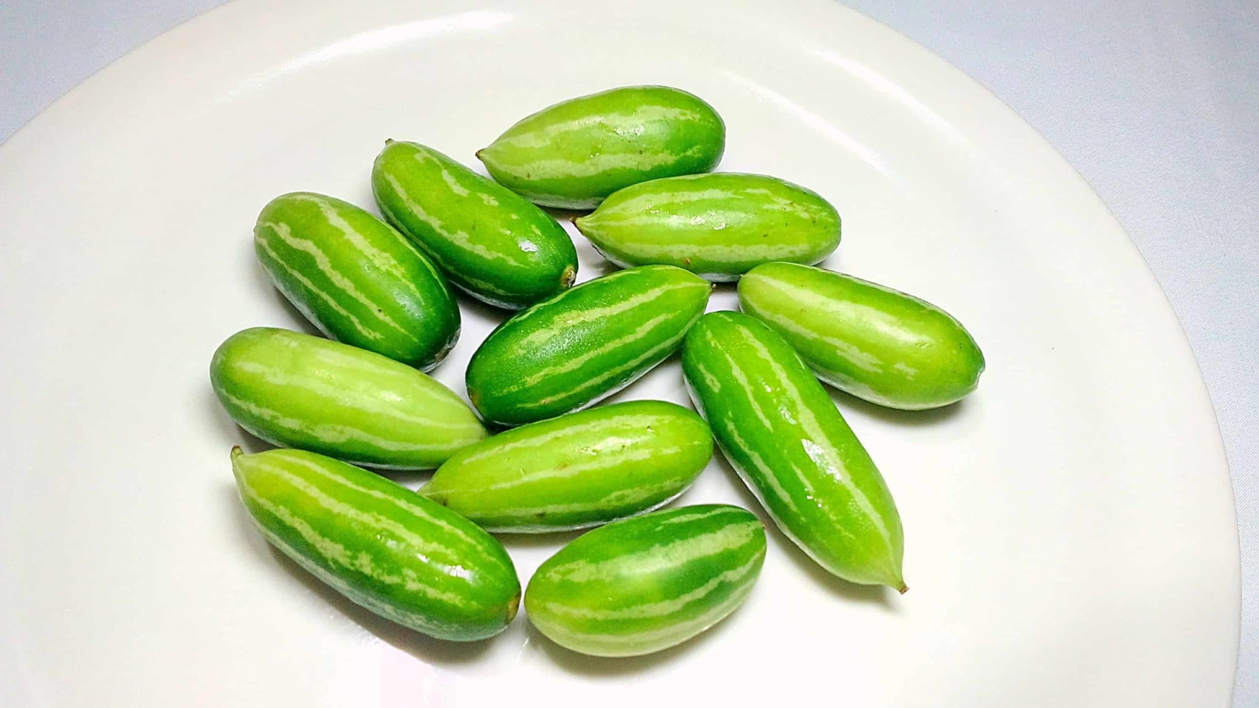 Pencil ivy gourd live plant pack of 2 (B0CKBPYHLT) Amazon Price History, Amazon Price Tracker