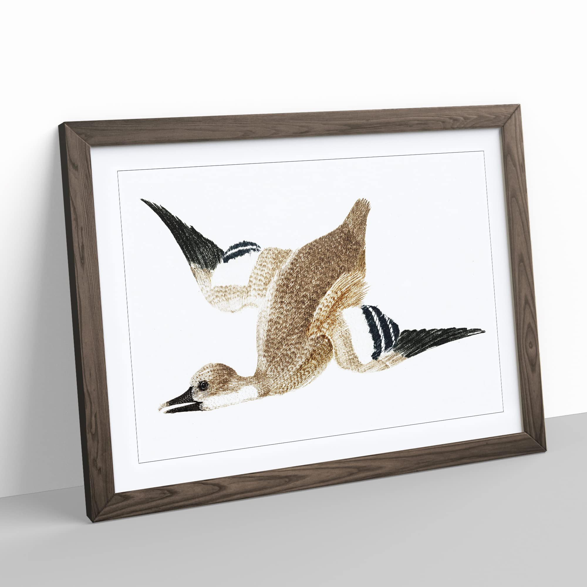 Flying Duck By Johan Teyler Vintage Framed Wall Art Print, Ready to Hang Picture for Living Room Bedroom Home Office Décor - Image 3