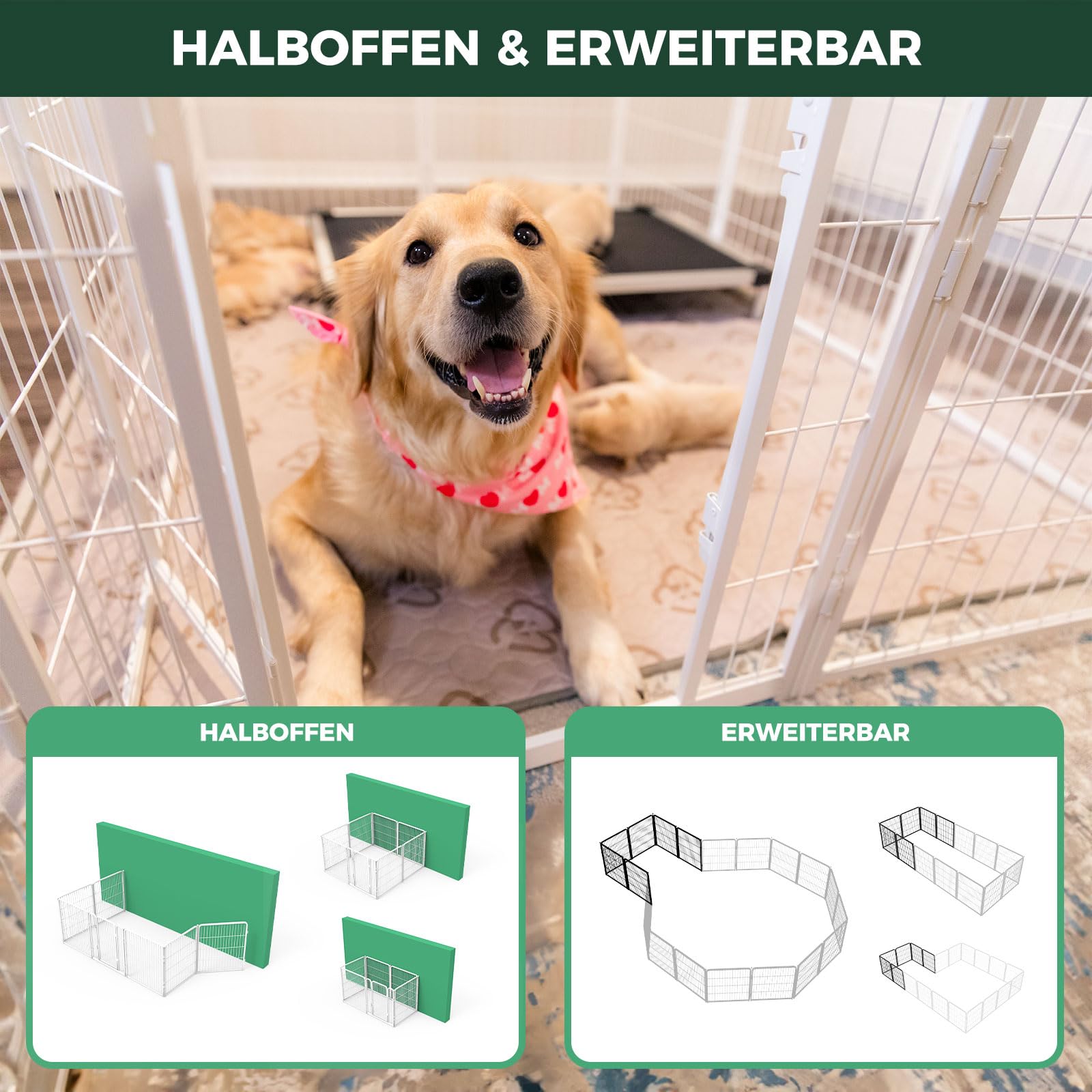 fxw Homeplus Enclos pour Chiens, 80cm 8 Panneaux De Fil Stables pour Chiots Et Chiens pour Chiots Et Petits Chiens, Blanc │ Breveté