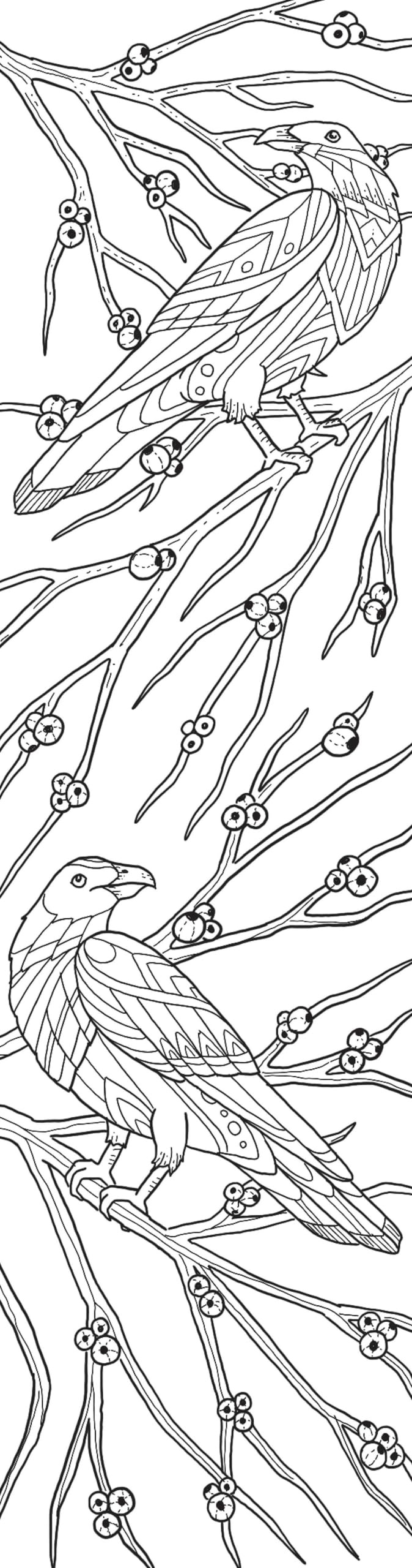 Animals Coloring Bookmarks