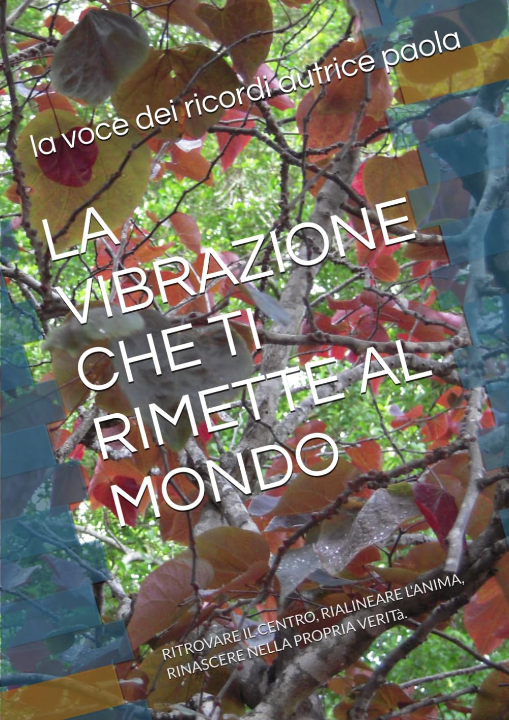 LA VIBRAZIONE CHE TI RIMETTE AL MONDO: RITROVARE IL CENTRO, RIALINEARE L'ANIMA, RINASCERE NELLA PROPRIA VERITà.