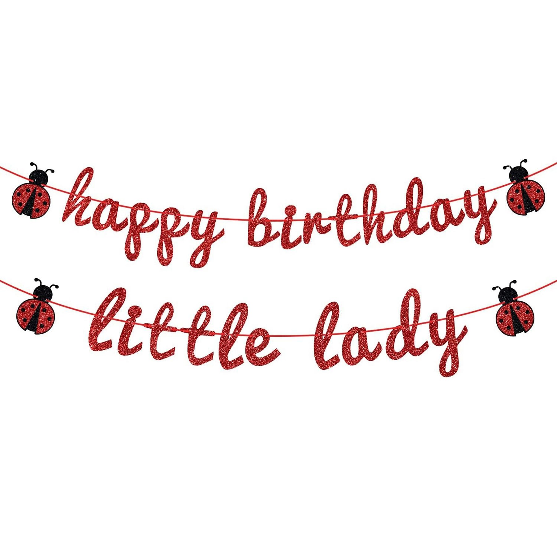 Wasise Ladybird Birthday Decorations - Ladybug Decor, Ladybug Birthdate Party Decorations, Ladybugs Parties Birthday Banner, Ladybugs Baby Shower Decoration, Ladybird Party Supplies for Girls