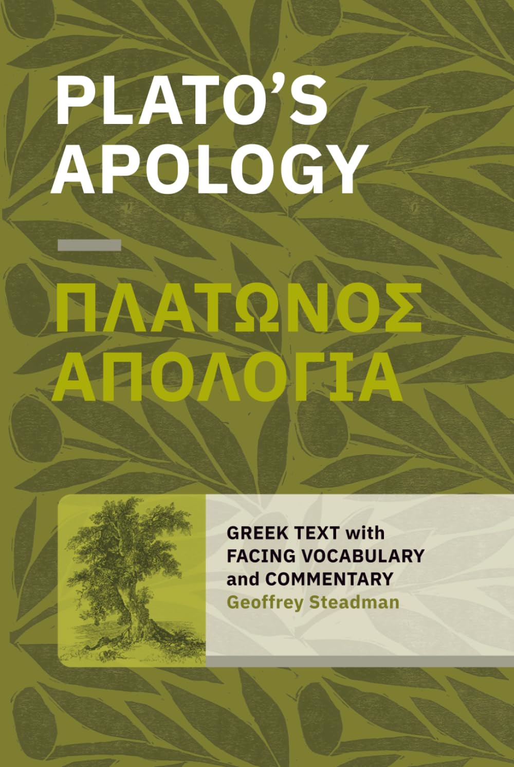 Plato's Apology: Greek Text with Facing Vocabulary and Commentary