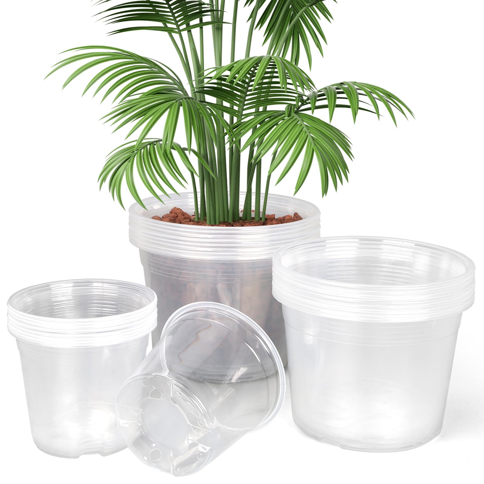 24 Pack 6/8/10 Inch Clear Nursery Pots