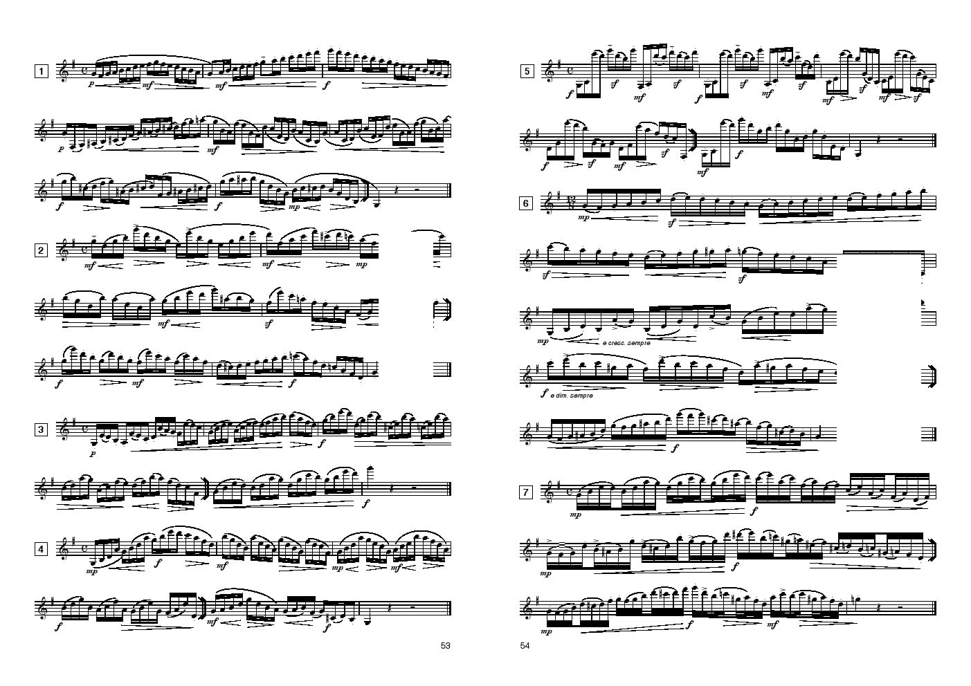 Settimi Aldo ESERCIZI PER CLARINETTO di Tecnica giornaliera in tutti i Toni Maggiori e Minori - Studi sulle Scale ed Intervalli