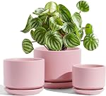 LE TAUCI Ceramic Plant Pots, Set of 3, 4.3+5.3+6.8 inch Plant Pots Indoor, Planters Pots with Drainage Hole & Saucer, Indoor Flower Pot with Mesh Pad, Pot Plante Interieur, Reactive Glaze Beige