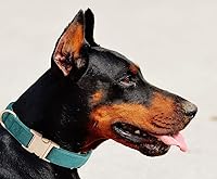 Vista 43 de Collar de Algodón Suave para Perro con Hebilla de Metal Ajustable de Servicio Pesado Cómodo Collares de Pana para Perros Pequeños, Medianos