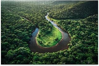 500 Pieces Wooden Jigsaw Puzzle for Adults MATA Atlantica Atlantic Forest Brazil Rainforest Scene Strengthen Conservation Ideal South American Ecology Present​