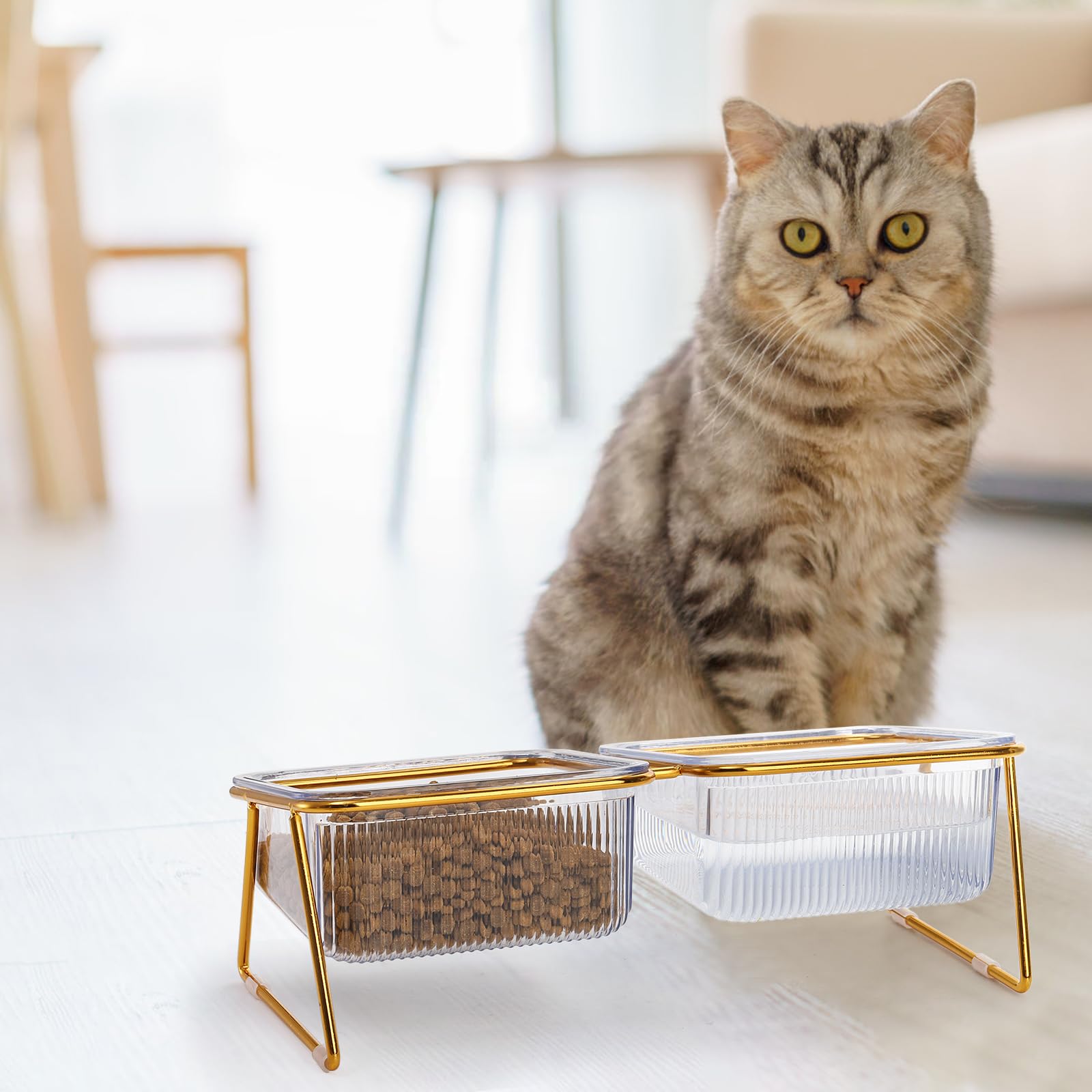 Ensemble de gamelles surélevées pour chats – 15 bols surélevés inclinés avec support en fer, plats anti-vomissements pour chats d'intérieur et chiots – 708,7 g