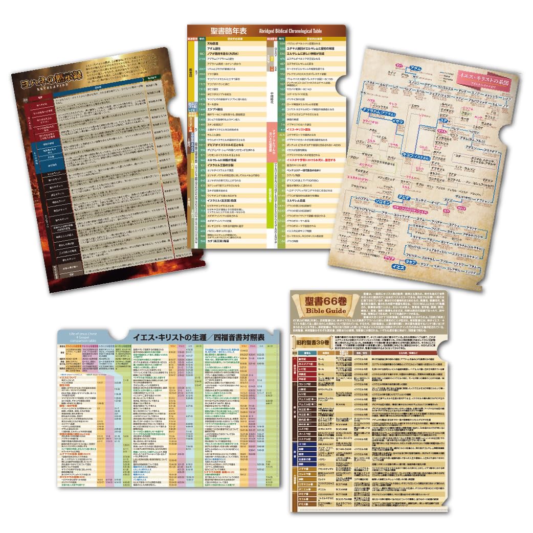 Amazon | 聖書知識シリーズ Ⅳクリアファイル5枚セット ①イエス