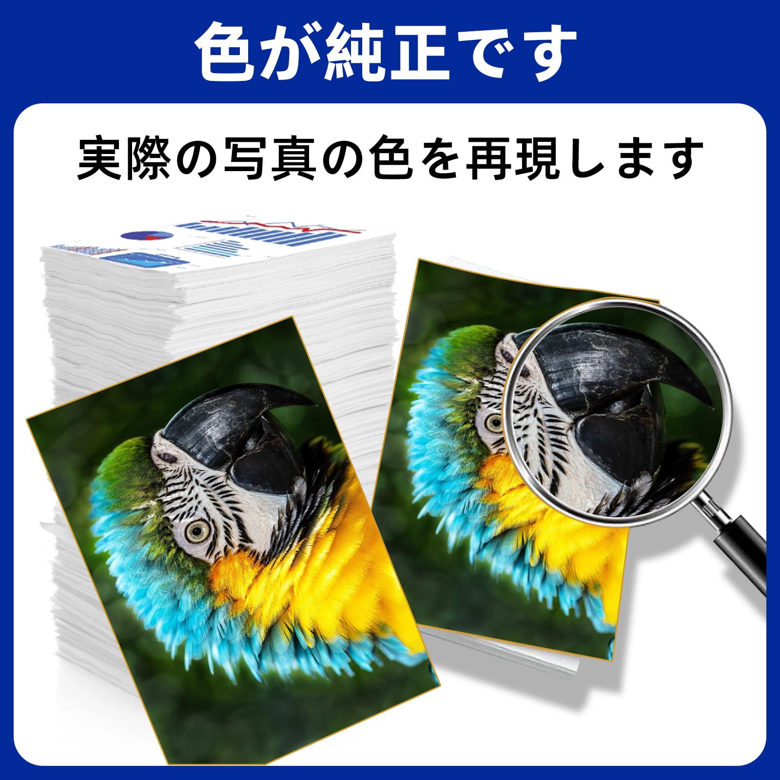 Amazon.co.jp: 【Amazon.co.jp限定】TC-C3B 互換トナーカートリッジ