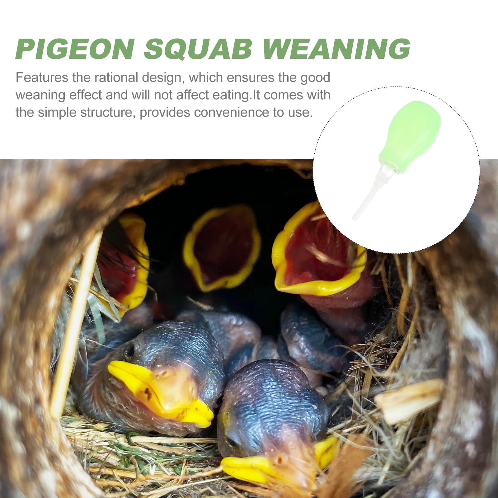POPETPOP Seringue d'alimentation pour oiseaux, compte-gouttes, pipettes en plastique pour petit animal de compagnie
