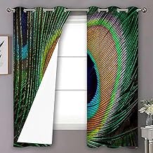 MizuH Peacock Noise Thermal Insulted Drapes for Window Living Room Room Peacock Feather with Eye Shape Picture 2 Panels 53W x 63L lnch Green Teal